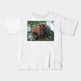 Scottish Highland Cattle Calf 1508 Kids T-Shirt